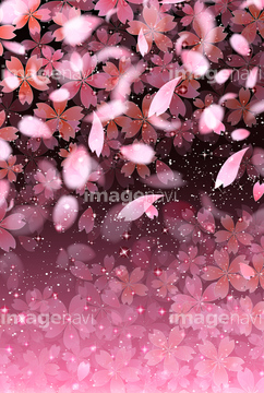 桜 イラスト 夜桜 イラスト の画像素材 花 植物 イラスト Cgのイラスト素材ならイメージナビ