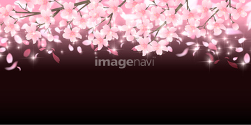 桜 イラスト 夜桜 イラスト の画像素材 花 植物 イラスト Cgのイラスト素材ならイメージナビ