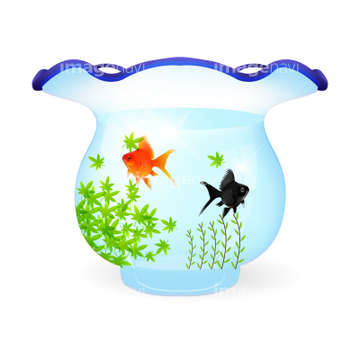 水槽 金魚鉢 透明 の画像素材 バックグラウンド イラスト Cgの写真素材ならイメージナビ