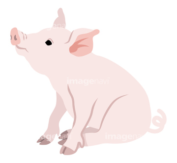 子豚 横向き ピンク色 の画像素材 家畜 生き物の写真素材ならイメージナビ