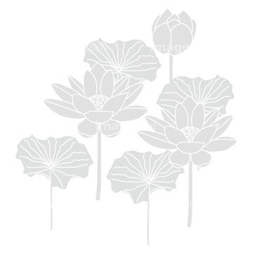 和柄 ハスの花 の画像素材 バックグラウンド イラスト Cgの写真素材ならイメージナビ