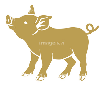 子豚 横向き の画像素材 家畜 生き物の写真素材ならイメージナビ