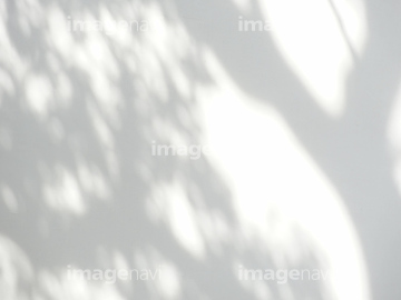 木漏れ日 影 の画像素材 森林 自然 風景の写真素材ならイメージナビ