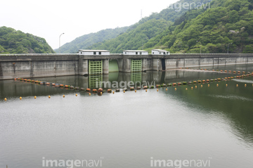 花園 花貫県立自然公園 の画像素材 葉 花 植物の写真素材ならイメージナビ