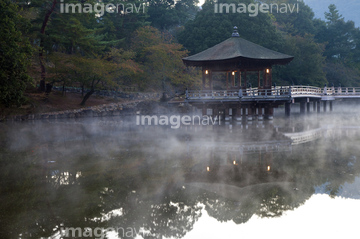 奈良公園 朝霧 の画像素材 気象 天気 自然 風景の写真素材ならイメージナビ