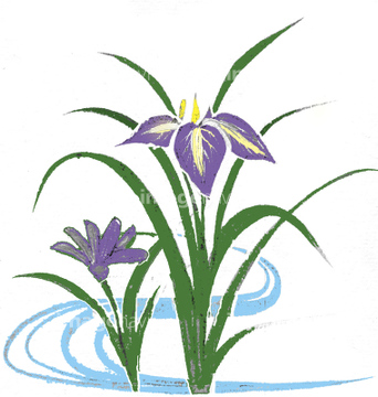 水墨画 花 アヤメ の画像素材 花 植物 イラスト Cgの写真素材ならイメージナビ