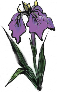 イラスト Cg 花 植物 水墨画 花 アヤメ の画像素材 イラスト素材ならイメージナビ