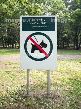 看板犬 の画像素材 ペット 生き物の写真素材ならイメージナビ 看板犬 の画像素材 ペット 生き物の写真素材ならイメージナビ