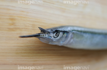 サヨリ の画像素材 魚介 食べ物の写真素材ならイメージナビ