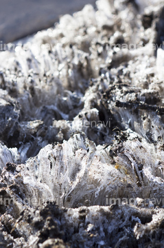 霜 霜柱 の画像素材 気象 天気 自然 風景の写真素材ならイメージナビ