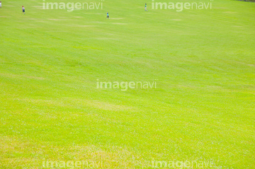 天然芝 の画像素材 ライフスタイル イラスト Cgの写真素材ならイメージナビ