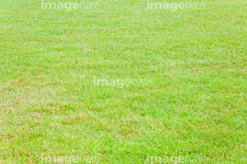 天然芝 の画像素材 ライフスタイル イラスト Cgの写真素材ならイメージナビ