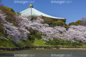 日本武道館 の画像素材 日本 国 地域の写真素材ならイメージナビ