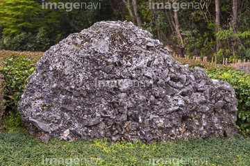 石灰質角礫岩 の画像素材 写真素材ならイメージナビ