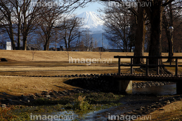 信玄堤公園 の画像素材 樹木 花 植物の写真素材ならイメージナビ