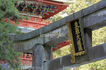 日光東照宮五重塔 の画像素材 日本 国 地域の写真素材ならイメージナビ