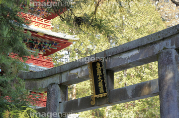 日光東照宮五重塔 の画像素材 日本 国 地域の写真素材ならイメージナビ