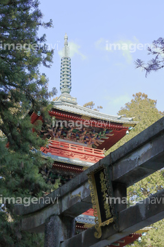 日光東照宮五重塔 の画像素材 日本 国 地域の写真素材ならイメージナビ