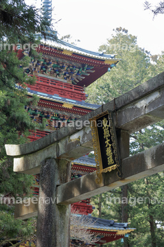 日光東照宮五重塔 の画像素材 日本 国 地域の写真素材ならイメージナビ