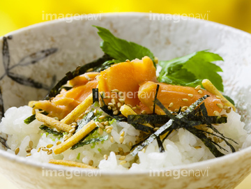 茶漬け 注ぐ の画像素材 和食 食べ物の写真素材ならイメージナビ