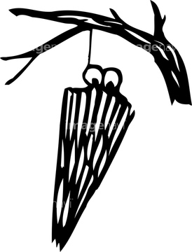 ミノムシ の画像素材 虫 昆虫 生き物の写真素材ならイメージナビ