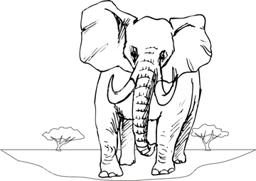ゾウ イラスト アフリカゾウ の画像素材 生き物 イラスト Cgのイラスト素材ならイメージナビ