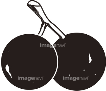 季節のイラスト 秋の食べ物 青果 イラスト の画像素材 食べ物 飲み物 イラスト Cgのイラスト素材ならイメージナビ