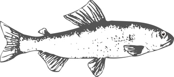 画像素材 生き物 イラスト Cgの写真素材ならイメージナビ