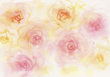 イラスト Cg テーマ 水彩画 花 バラ の画像素材 イラスト素材ならイメージナビ