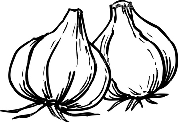 にんにく イラスト の画像素材 食べ物 飲み物 イラスト Cgのイラスト素材ならイメージナビ