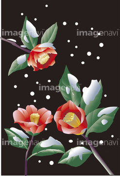 冬 花 春 夏 秋 クリスマス 和風 オリエンタル イラスト の画像素材 花 植物 イラスト Cgのイラスト素材ならイメージナビ