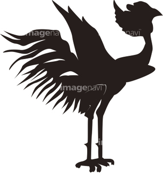 動物のイラスト 鳳凰 不死鳥 イラスト の画像素材 イラスト Cgのイラスト素材ならイメージナビ