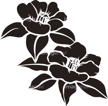 椿 イラスト 和風 春 の画像素材 花 植物 イラスト Cgのイラスト素材ならイメージナビ