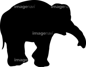 象 イラスト アジアゾウ の画像素材 生き物 イラスト Cgのイラスト素材ならイメージナビ