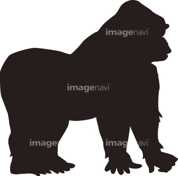 猿 シルエット 類人猿 の画像素材 生き物 イラスト Cgの写真素材ならイメージナビ