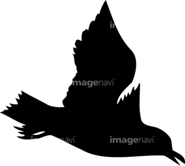 生き物 鳥類 カモメ ウミネコ シルエット の画像素材 写真素材ならイメージナビ