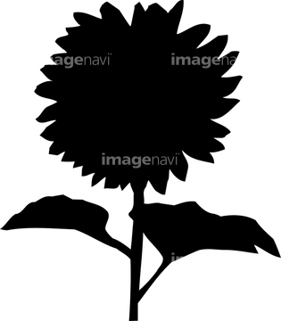 花 シルエット ヒマワリ の画像素材 花 植物 イラスト Cgの写真素材ならイメージナビ