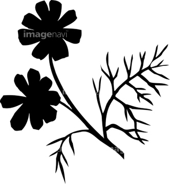 花 シルエット コスモス の画像素材 花 植物の写真素材ならイメージナビ