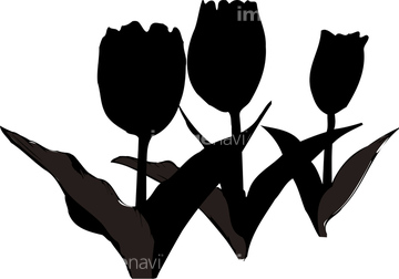 花 シルエット チューリップ の画像素材 花 植物 イラスト Cgの写真素材ならイメージナビ