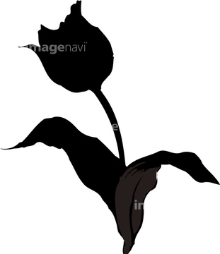 花 シルエット チューリップ の画像素材 花 植物 イラスト Cgの写真素材ならイメージナビ