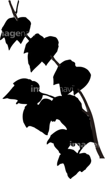 葉っぱ イラスト 木の葉 秋 の画像素材 季節 イベント イラスト Cgのイラスト素材ならイメージナビ