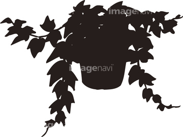 アイビー イラスト の画像素材 花 植物 イラスト Cgのイラスト素材ならイメージナビ