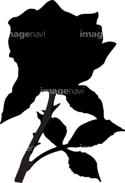 花 シルエット バラ の画像素材 花 植物 イラスト Cgの写真素材ならイメージナビ