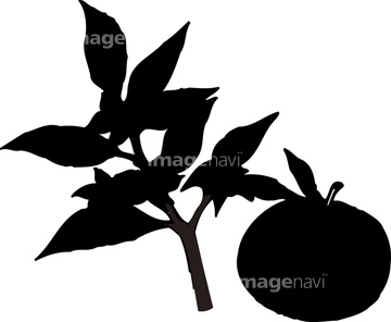 県花 シルエット の画像素材 花 植物 イラスト Cgの写真素材ならイメージナビ