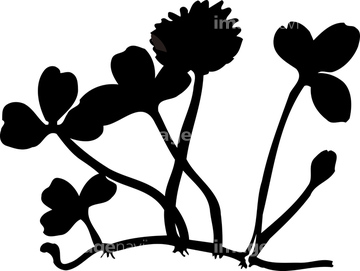 イラスト Cg 花 植物 若葉 クローバー シロツメクサ の画像素材 イラスト素材ならイメージナビ
