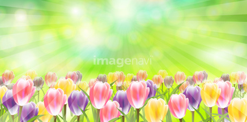 花畑 イラスト かわいい の画像素材 季節 イベント イラスト Cgのイラスト素材ならイメージナビ