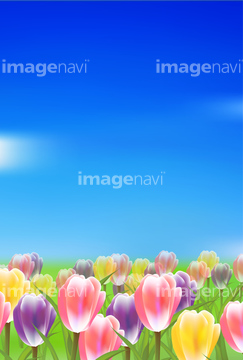 花畑 イラスト かわいい 綺麗 春 の画像素材 季節 イベント イラスト Cgのイラスト素材ならイメージナビ