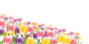 花畑 イラスト かわいい 綺麗 春 の画像素材 季節 イベント イラスト Cgのイラスト素材ならイメージナビ