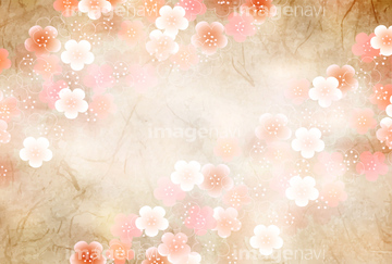 梅柄 の画像素材 花 植物 イラスト Cgの写真素材ならイメージナビ