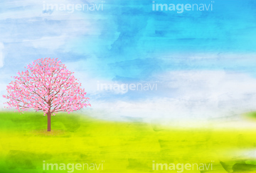 桜イメージ特集 桜柄 桜のイラスト テンプレート 綺麗 イラストのみ の画像素材 バックグラウンド イラスト Cgのイラスト 素材ならイメージナビ